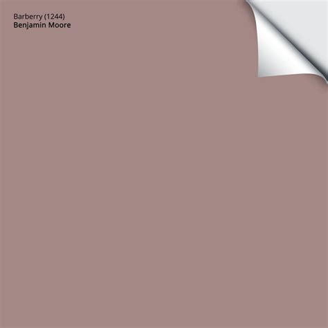 benjamin moore burberry|Barberry 1244 Waterborne Ceiling Paint .